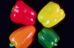 kopfbereich_b240xh155-res_paprika.jpg kopfbereich_b240xh155-res_paprika.jpg