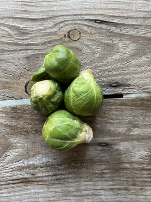 Rosenkohl Rosenkohl