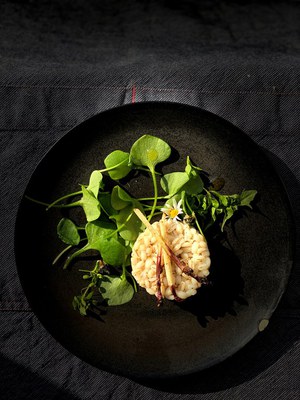Hopfenspargel und Gerste mit Unkraut Hopfenspargel und Gerste mit Unkraut