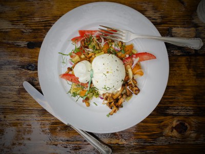 September: Büffel-Burrata mit Aprikosen-Tomatensalat, Pilzen und Thymian September: Büffel-Burrata mit Aprikosen-Tomatensalat, Pilzen und Thymian