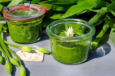 Pesto aus Bärlauch oder Wildkräutern Pesto aus Bärlauch oder Wildkräutern