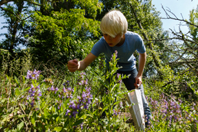 aktionen_2016-erntetour2016-borrs_288_2.jpg aktionen_2016-erntetour2016-borrs_288_2.jpg