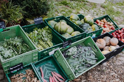 Gemüsekisten mit Kürbissen, Kohl und Äpfeln an einem Hofladen / Foto: Daria Yakina