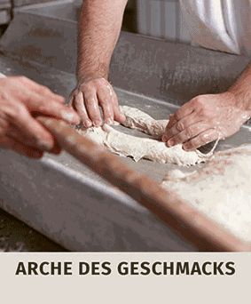 Startlogo-Arche.gif