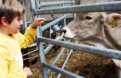 Gesunde Ernährung Tisch & Kultur