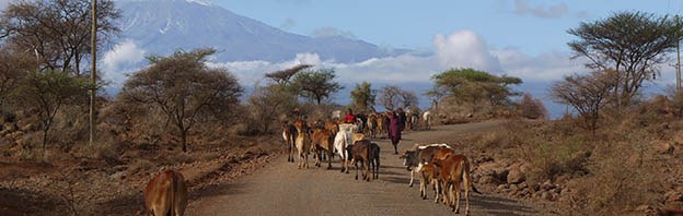 Klimawandel und Ernährung