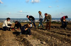 Jena rettet Gemüse