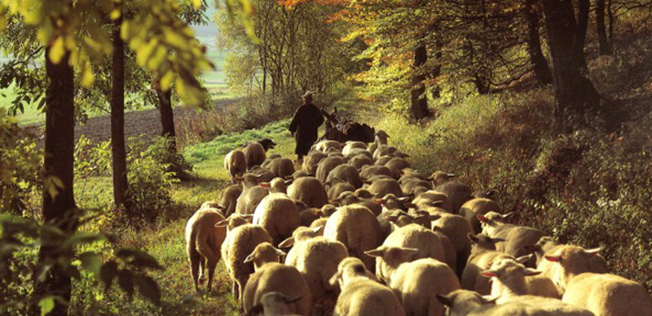 aktionen_2015-kalenderbilder-raach-011-583.jpg aktionen_2015-kalenderbilder-raach-011-583.jpg