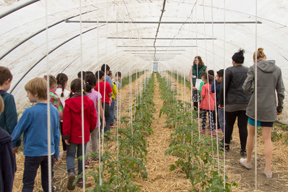 aktionen_2016-11_kindertour-28.jpg aktionen_2016-11_kindertour-28.jpg