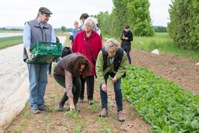 aktionen_2016-erntetour_hilger_2883.jpg