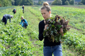 aktionen_2015-erntetour_1.jpg aktionen_2015-erntetour_1.jpg