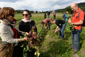 aktionen_2015-zgfdt_nue_erntetour_2.jpg aktionen_2015-zgfdt_nue_erntetour_2.jpg