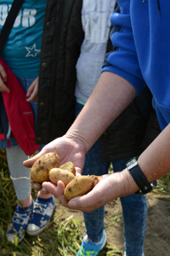 aktionen_2015-zgfdt_nue_erntetour_4.jpg