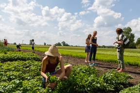 aktionen_2016-erntetour2016-borrs_288_4.jpg