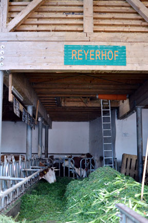 aktionen-tst_stuttgart_reyerhof_5h.jpg aktionen-tst_stuttgart_reyerhof_5h.jpg