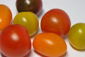 kinder-_und_jugendliche-tomaten_288.jpg