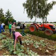 aktuelles-aktuelles_2016-erntetour_schwerin_112_w_borrs.jpg