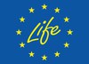 life_Logo 1_1.jpg