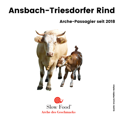 Ansbach-Triesdorfer Rind