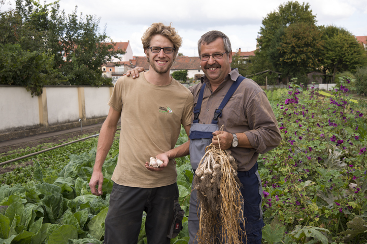 Bamberger Knoblauch_Stefan Abtmeyer_700.44.11.jpg