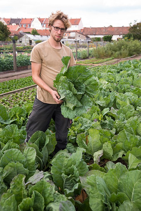 Bamberger Spitzwirsing_Stefan Abtmeyer_700.46.19.jpg