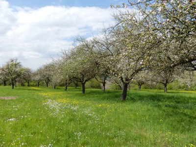 Bittenfelder-Anlage, Beilstein, Mai 2021.JPG