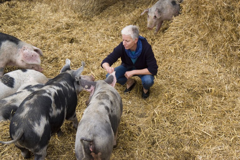 Buntes Bentheimer Schwein_Stefan Abtmeyer_700.08.12.jpg