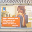 aktuelles-aktuelles_2016-aldi_sued_plakatwerbung_112.jpg