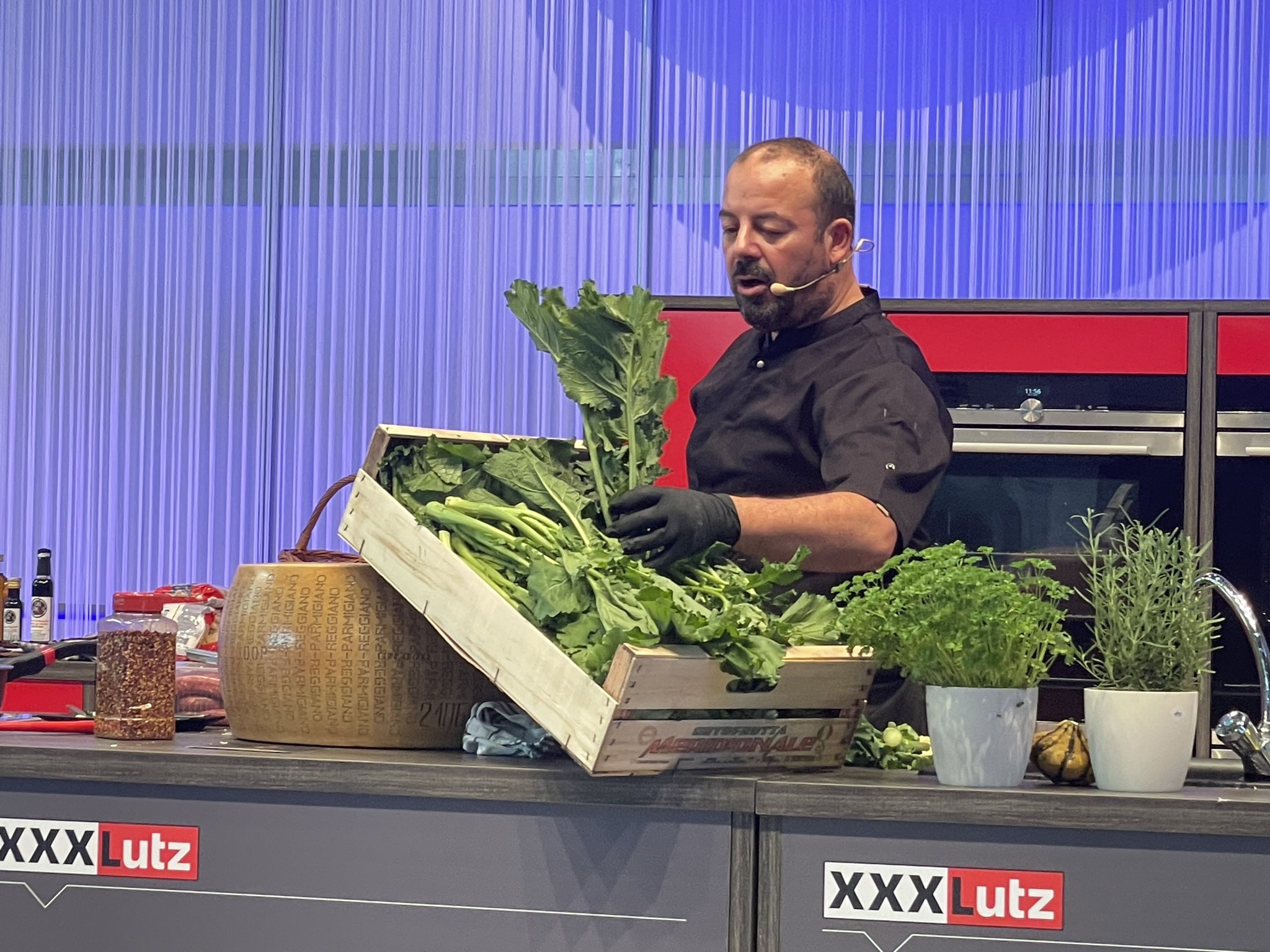 Alessandro Muccardo(c) privat 4.JPEG