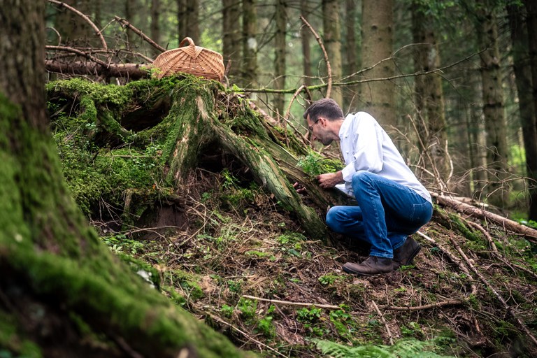 (c)MarkusSchwarz (2).jpg