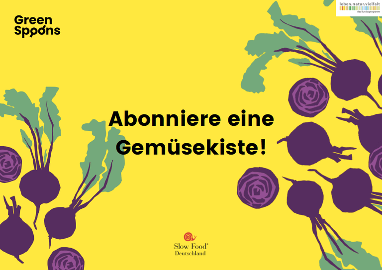 Bildschirmfoto 2024-10-19 um 13.52.46.png