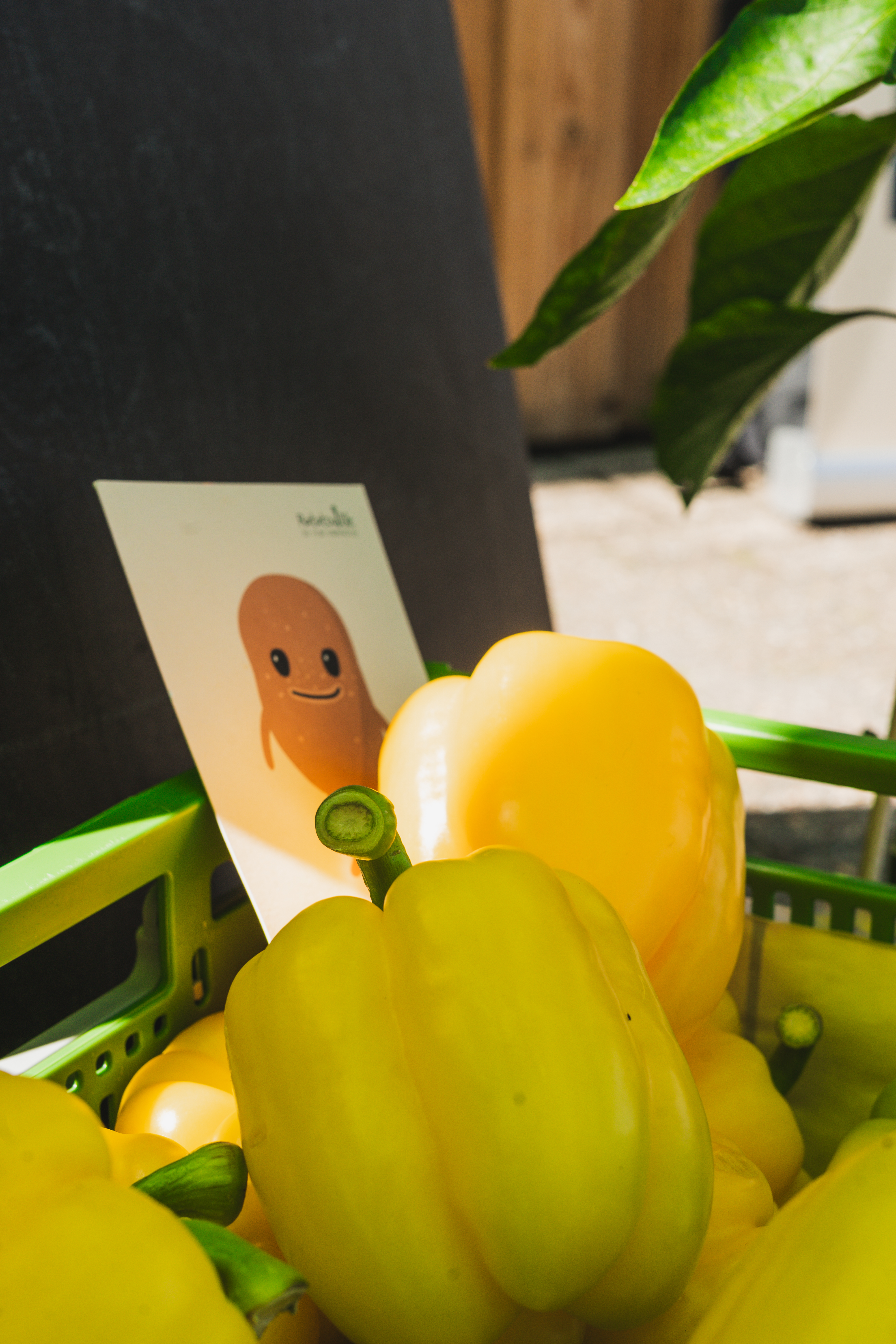 Ratatouille Gemüsecrew.jpg