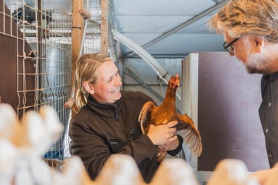 Ratatouille Hof Dolling