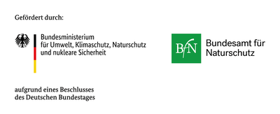 Logoleiste_Foerderung_6.2025.png
