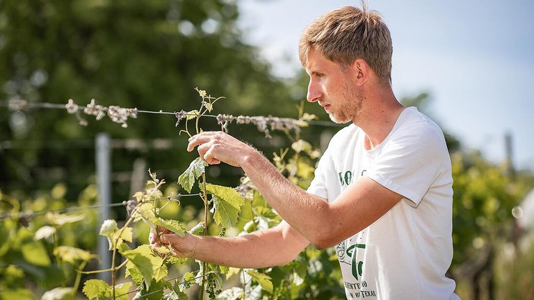 Maximilian Zang Weinberg.jpg