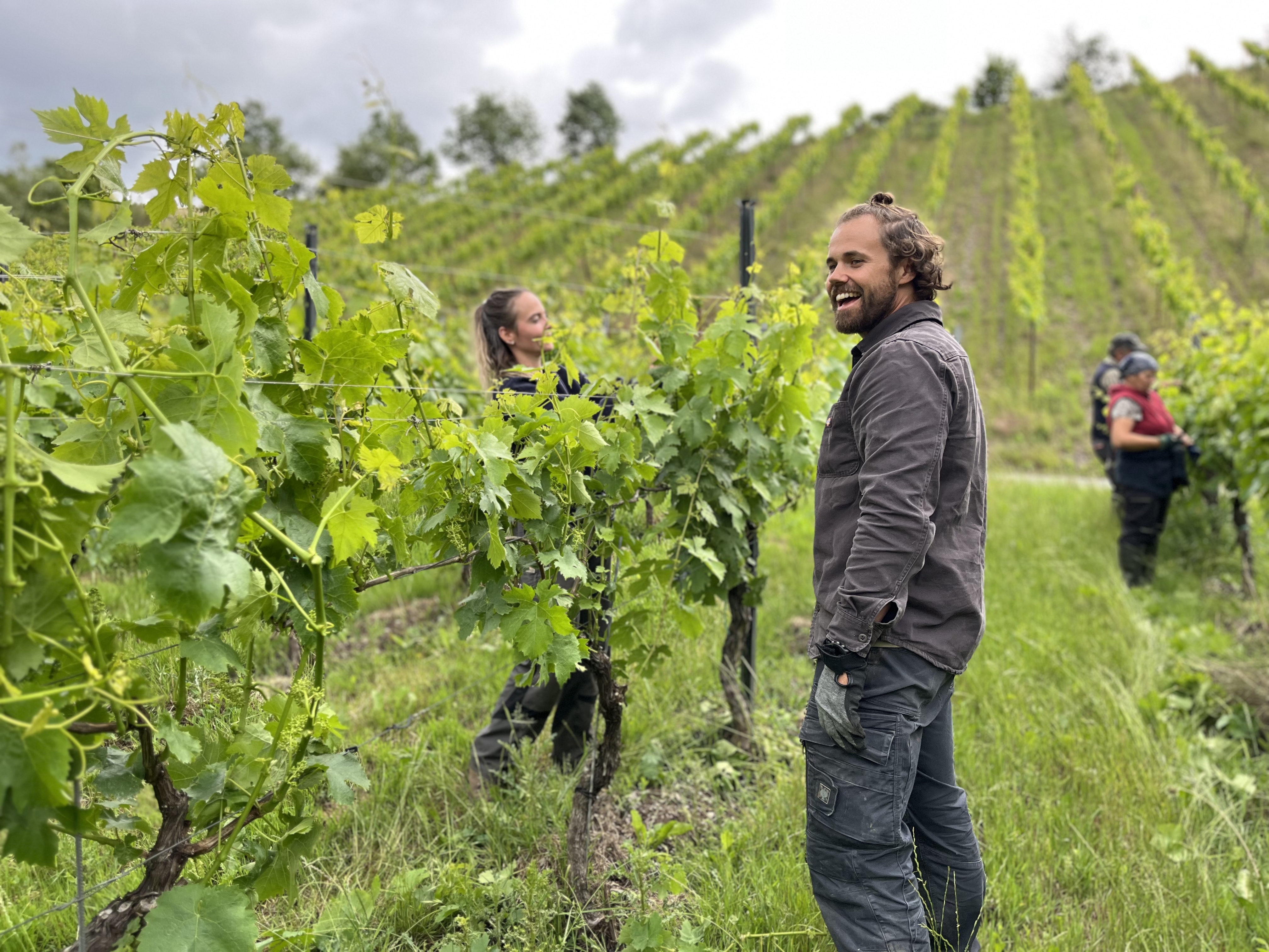 Weingut Staffelter Hof 4 (c) Fabien Lainé.jpg