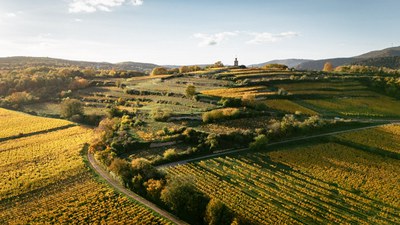 1. Fuchsmantel_Weingut Eymann.jpg