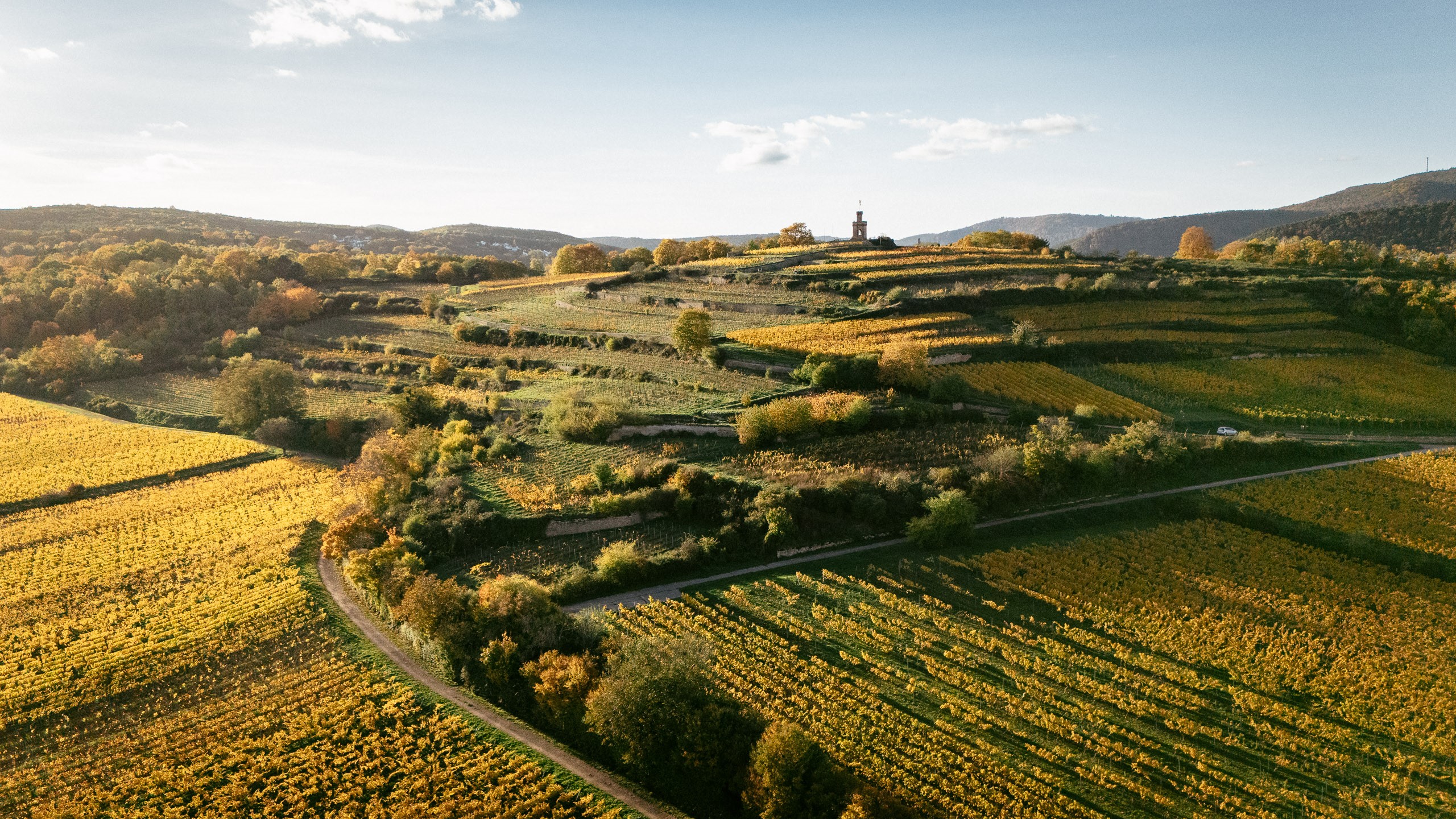 1. Fuchsmantel_Weingut Eymann.jpg