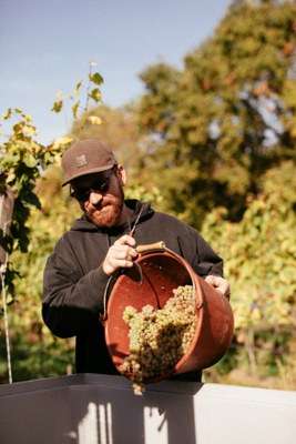 3. Traubenlese_Weingut Eymann.jpg