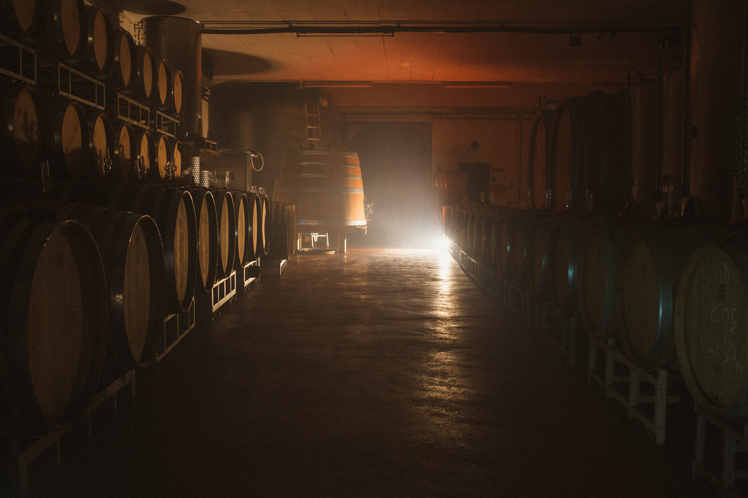 5. Keller_Weingut Eymann.jpg