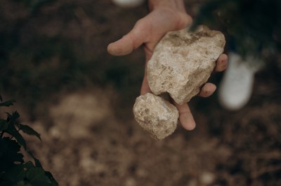 Weingut Feth (c) Anni Petrat.jpg