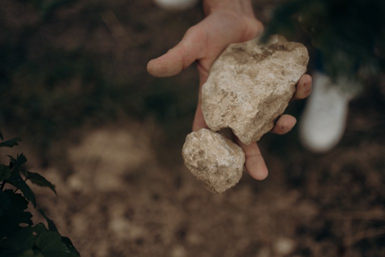 Weingut Feth (c) Anni Petrat.jpg