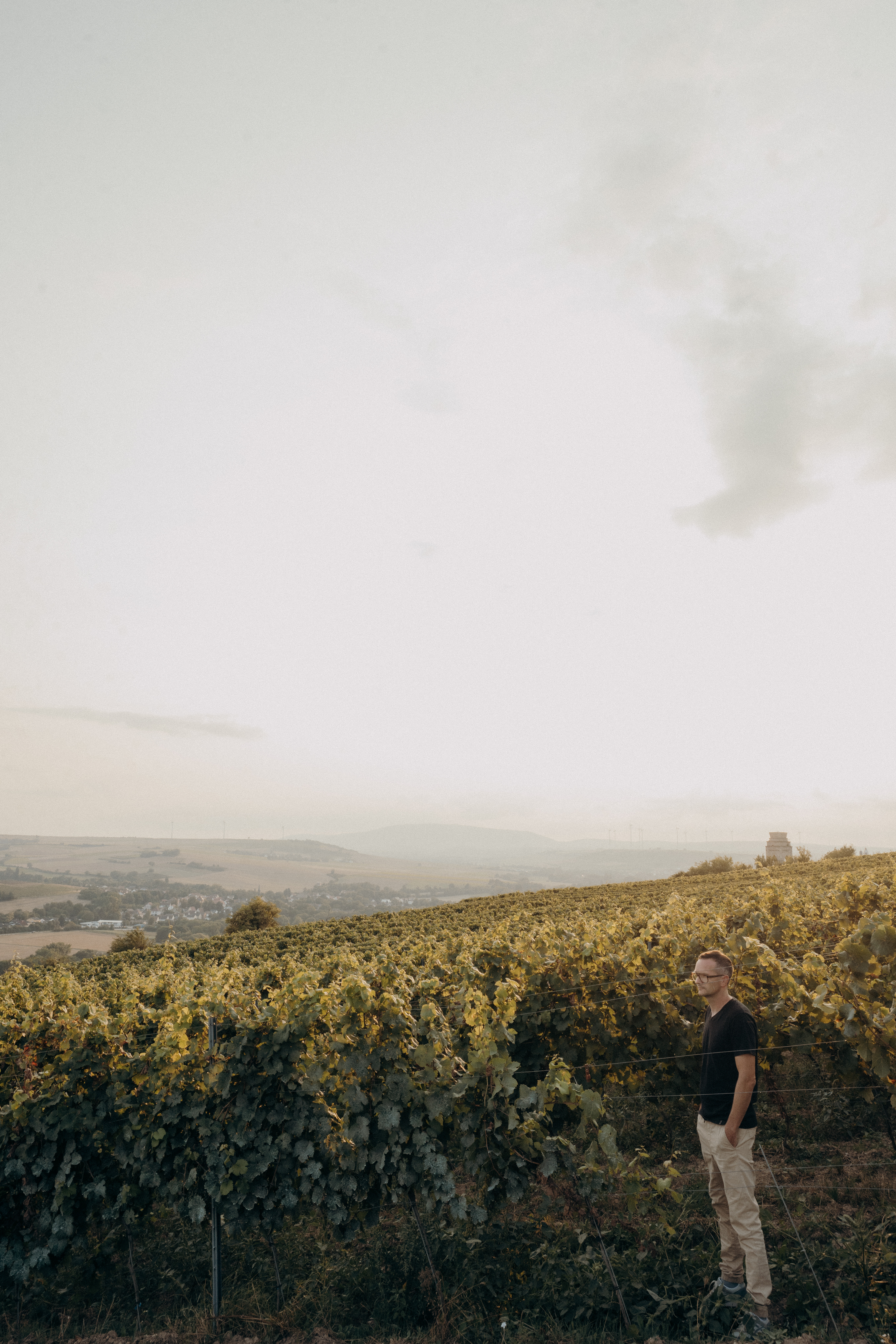 Weingut Feth_1 (c) Anni Petrat.jpg