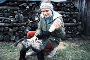 terra_madre-delegierte_2018-web_sitter_marliese_lamm_288x192.jpg terra_madre-delegierte_2018-web_sitter_marliese_lamm_288x192.jpg