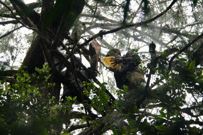 Reisen mit der Schnecke: Unterwegs in Kenia, auf dem Balkan, in Kärnten