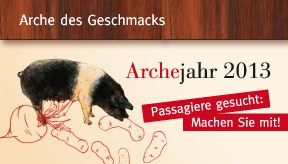 teaser-banner_archej13_lang.jpg