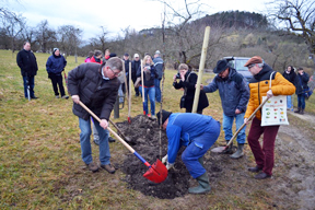 aktuelles-aktuelles_2015-schw_birne_pflanzen_288.jpg aktuelles-aktuelles_2015-schw_birne_pflanzen_288.jpg