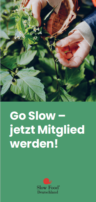 Bildschirmfoto 2025-04-14 um 09.45.38.png