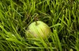 arche-abt_chambrat_240.jpg arche-abt_chambrat_240.jpg