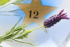 adventskalender_2012-abt_12_gr_plus_.jpg